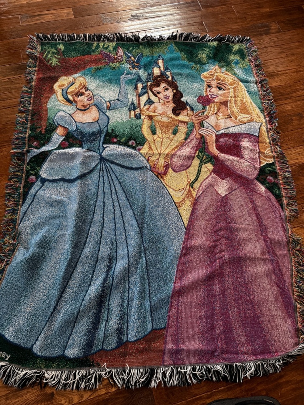 Disney Princess Blanket or Tapestry Wall Art - Blue, Yellow, Pink